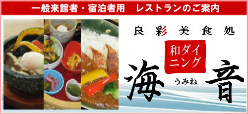 Xg@ǍʔH@a_CjO@C(݂)